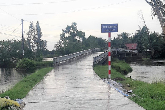 Cầu kênh Chính Cò thông tuyến, đưa vào sử dụng
