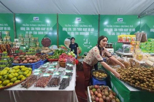 Tuần hàng quảng bá nông sản Hà Nội và các tỉnh, thành phố năm 2023