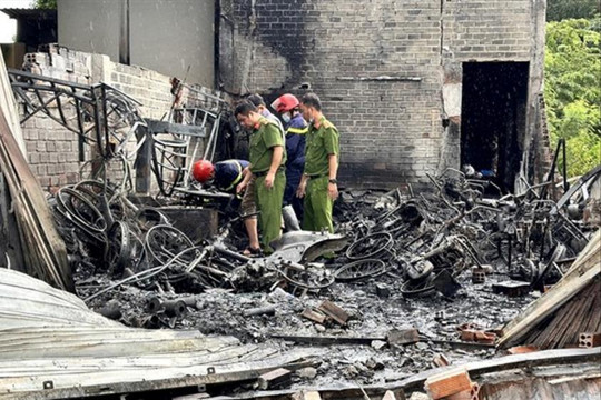 Tập trung khắc phục hậu quả, điều tra nguyên nhân vụ cháy nghiêm trọng tại tỉnh Bình Thuận