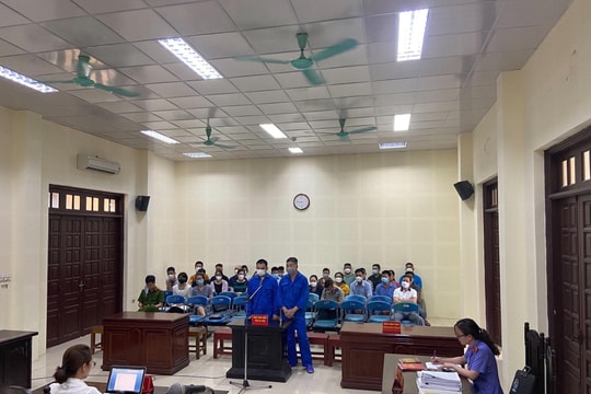 95% vụ án hình sự về động vật hoang dã có đối tượng bị bắt giữ