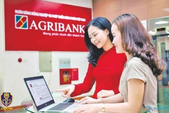 Agribank quản lý tài khoản chuyên thu đấu giá biển số xe ô tô