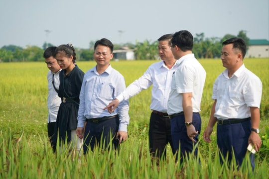 Xây dựng các tuyến du lịch văn hóa làng nghề tại Ứng Hòa
