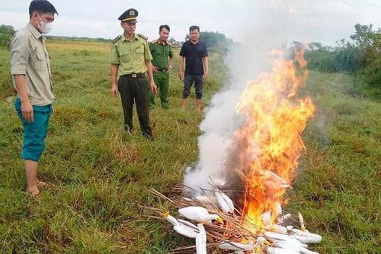 Thiêu hủy, tháo dỡ hàng trăm dụng cụ bẫy chim trời