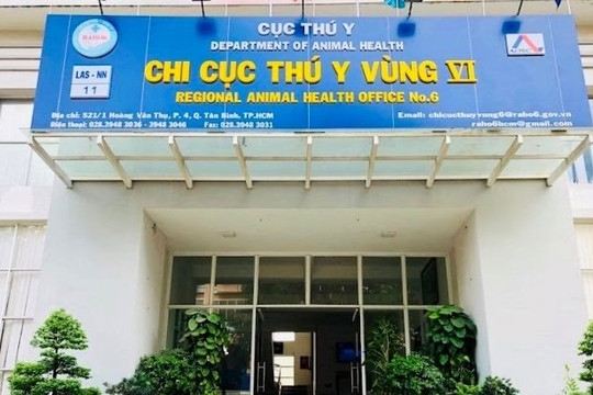 Nhiều cán bộ tại Chi cục Thú y vùng VI bị khởi tố