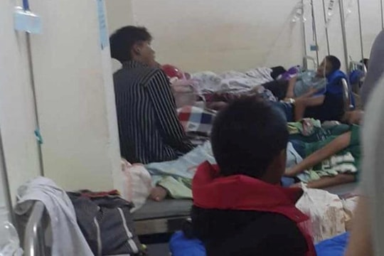 Điện Biên: Ăn quả vông, 40 học sinh bị ngộ độc
