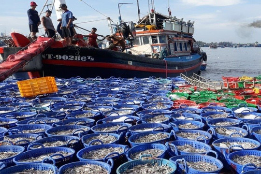 Kiên quyết từ chối thu mua các sản phẩm thủy sản từ khai thác IUU