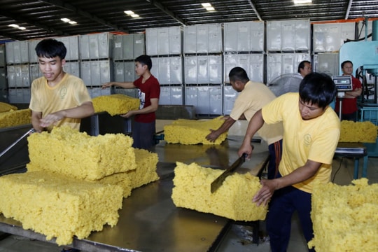 61 năm quan hệ Việt Nam-Lào: Quan hệ đặc biệt qua những dự án đầu tư