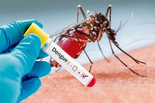 Hà Nội: Đã ghi nhận 3 ca tử vong do sốt xuất huyết