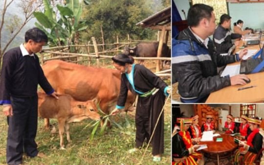Đẩy mạnh chương trình phát triển kinh tế - xã hội vùng đồng bào Dân tộc thiểu số và miền núi