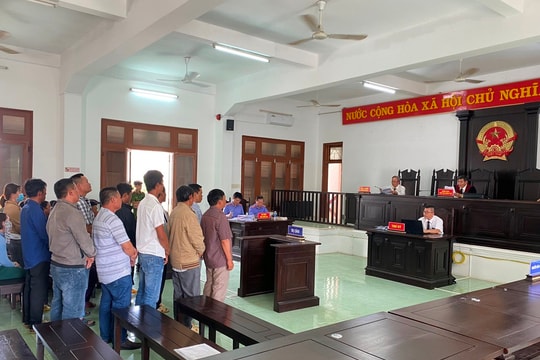 Phá rừng để lấy đất sản xuất, 10 bị cáo lĩnh án