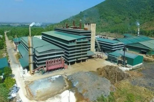 Xử phạt Công ty Cổ phần Cromit Nam Việt hơn 3 tỷ đồng