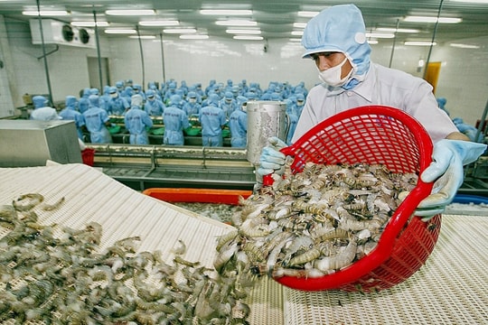 Xuất khẩu thủy sản tăng tốc để đạt mục tiêu 10 tỷ USD