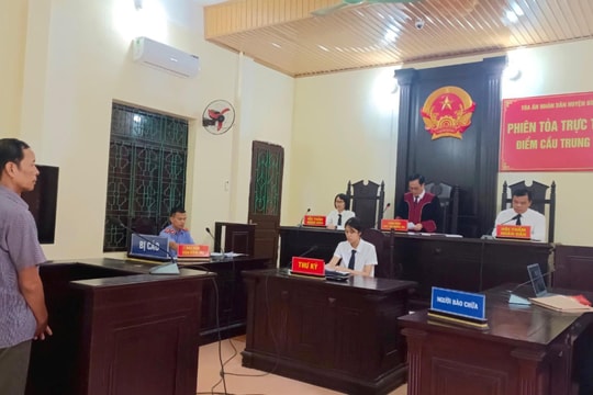 Lĩnh án vì thuê người chặt phá rừng