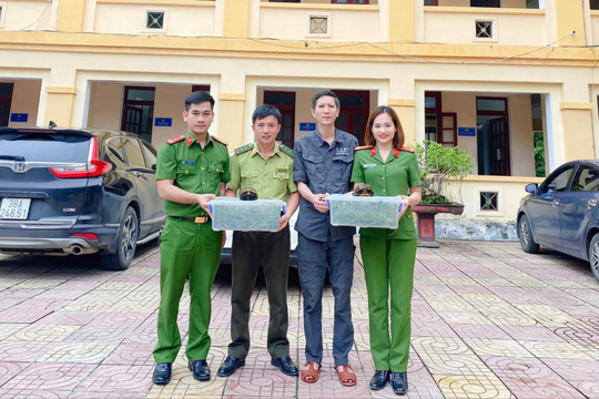 Hà Tĩnh: Vận động người dân giao nộp nhiều cá thể rùa quý hiếm