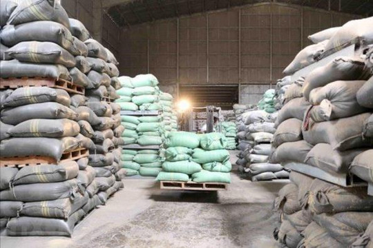 Xuất cấp hơn 309 tấn gạo hỗ trợ thực hiện công tác bảo vệ, phát triển rừng