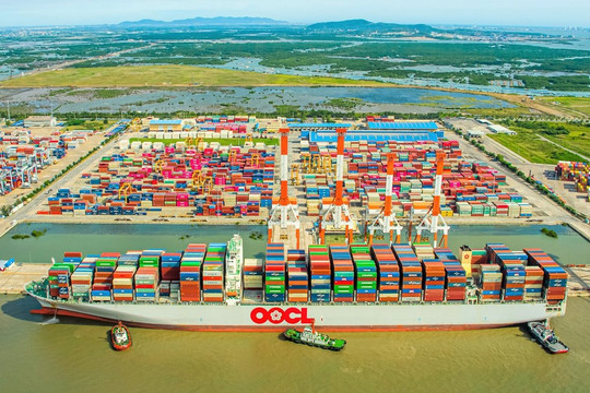 Bộ Giao thông vận tải đề xuất tăng 10% giá bốc dỡ container