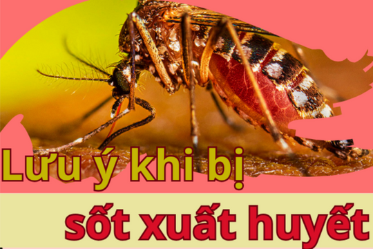 Lưu ý khi bị sốt xuất huyết