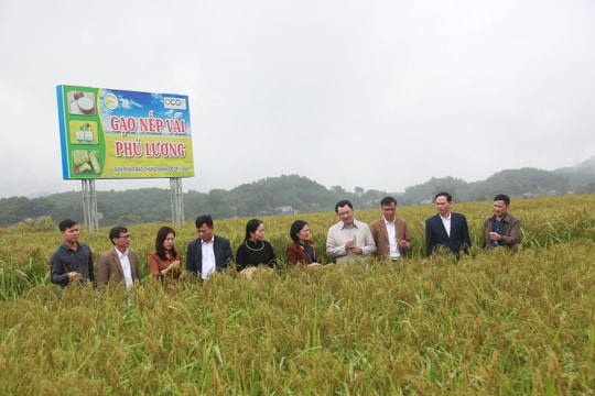 Thái Nguyên: Phát triển đồng bộ hạ tầng thu hút các nhà đầu tư tại Phú Lương