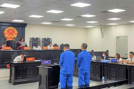 Giám đốc công ty luật lừa đảo chiếm đoạt tài sản