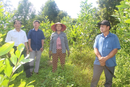 Người Cựu chiến binh làm kinh tế giỏi, sống nghĩa tình