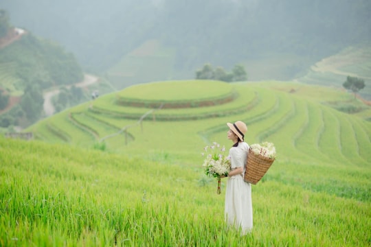 Kết nối phát triển du lịch 8 tỉnh Tây Bắc với TP. Hồ Chí Minh
