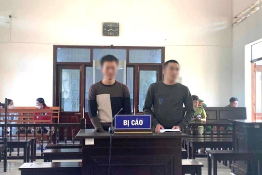 Khai thác gỗ trái phép, hai thanh niên lĩnh án
