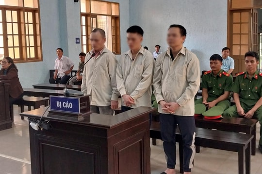 Trộm cắp hơn 60 con bò ở các tỉnh Gia Lai, Bình Định, Phú Yên