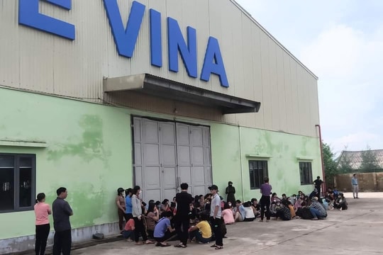Nam Định: Chủ công ty về nước cùng khoản nợ lương, nợ đóng bảo hiểm gần chục tỷ đồng