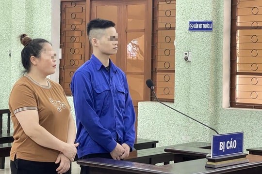 Tổ chức cho người khác nhập cảnh trái phép