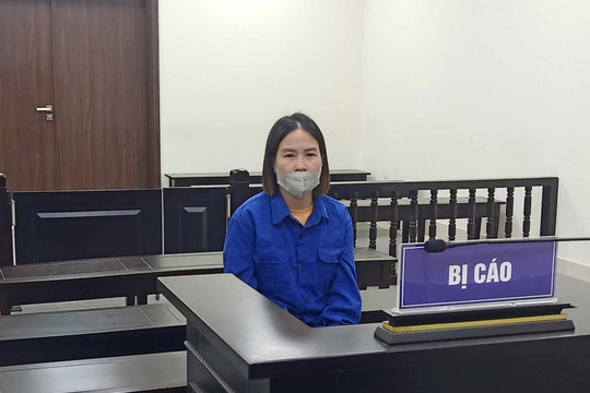 Lĩnh án vì chiếm đoạt hơn 12 tỷ đồng
