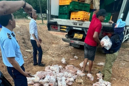 8 tấn thịt gà đông lạnh ở Nghệ An bị tiêu hủy