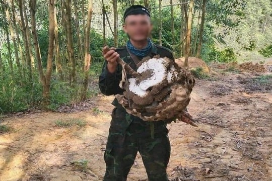 Tìm thấy thi thể nghi là nam thanh niên mất tích khi đi bắt ong