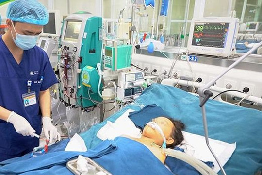 Bé trai tử vong do ong đốt 100 nốt