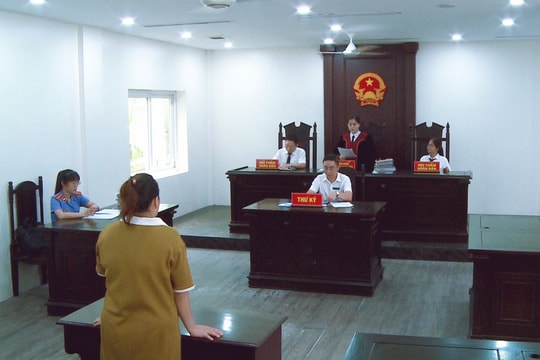 Xét xử vụ án mang thai hộ vì mục đích thương mại