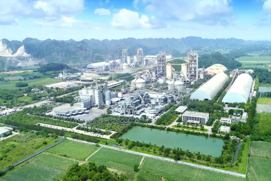 Cùng Long Sơn lan tỏa sự phát triển và hướng đến những giá trị tốt đẹp của cuộc sống
