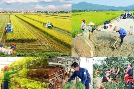 Nỗ lực triển khai thực hiện các chương trình mục tiêu quốc gia