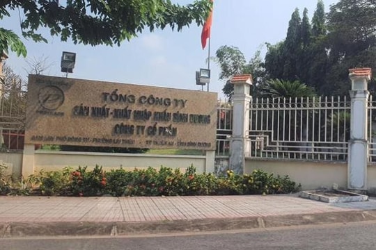 Cưỡng chế hơn 144 tỷ đồng nợ thuế của Tổng công ty Sản xuất - XNK Bình Dương