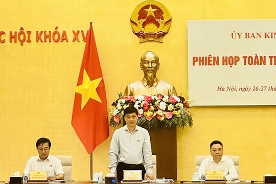 Ủy ban Kinh tế thẩm tra dự án Luật sửa đổi, bổ sung một số điều của Luật Đấu giá tài sản