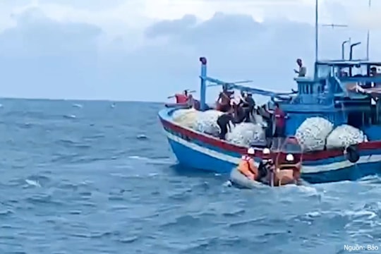 Chìm tàu cá ở biển Côn Đảo, 10 ngư dân trên tàu được cứu