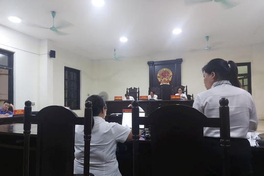 Vì miếng đất, cô và cháu ruột đưa nhau ra tòa