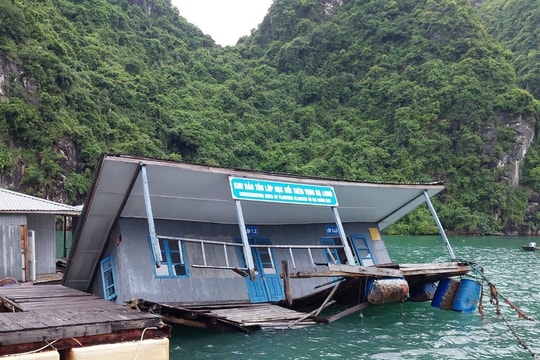 Nhà bảo tồn lớp học nổi trên vịnh Hạ Long bị chìm