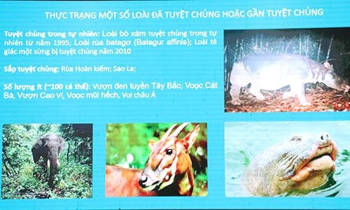 Tăng cường năng lực báo chí khai thác đề tài buôn bán động vật hoang dã trái pháp luật