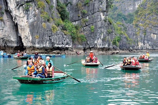 Việt Nam vượt mục tiêu đón 8 triệu lượt khách quốc tế, thị trường du lịch tăng trưởng nhanh