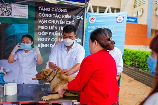 Ngày Thế giới phòng chống bệnh dại: FOUR PAWS hỗ trợ hoạt động tiêm phòng bệnh dại miễn phí