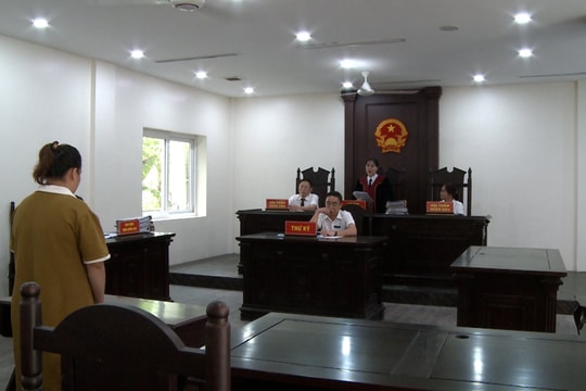 TAND huyện Gia Lâm xét xử vụ án Tổ chức mang thai hộ vì mục đích thương mại