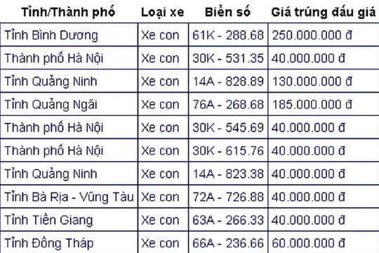 Đấu giá biển số chiều 30/9: 12 biển số chốt giá bằng tiền cọc