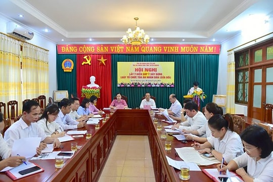 Đoàn ĐBQH tỉnh Tuyên Quang cho ý kiến vào dự thảo Luật Tổ chức TAND (sửa đổi)