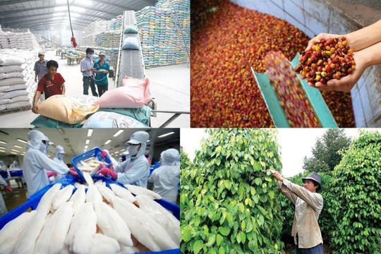 Năm 2023: Mục tiêu xuất khẩu nông lâm thủy sản đạt 53 - 54 tỷ USD