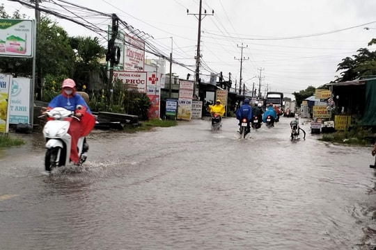 Mưa lớn kết hợp triều cường ở miền Tây, các tuyến đường nội ô ngập sâu trong nước