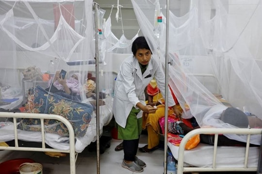 Dịch sốt xuất huyết khiến hơn 1.000 người ở Bangladesh tử vong